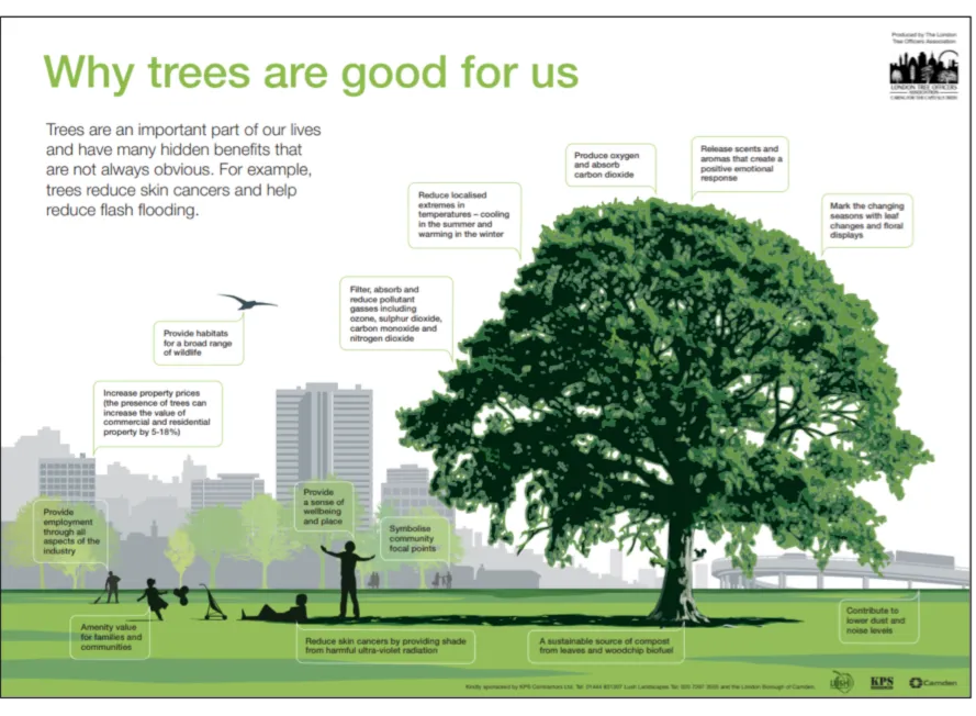 Why are trees good for us in planning developments and urban environments