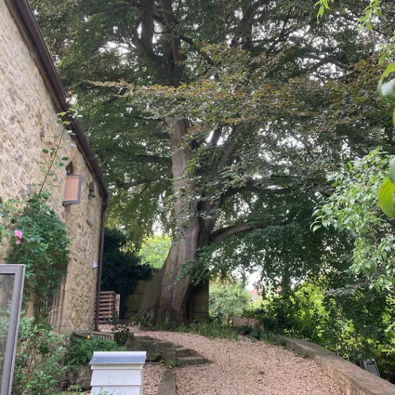 Arboricultural Impact Assessment for the planning application of an outbuilding in Oxfordshire.