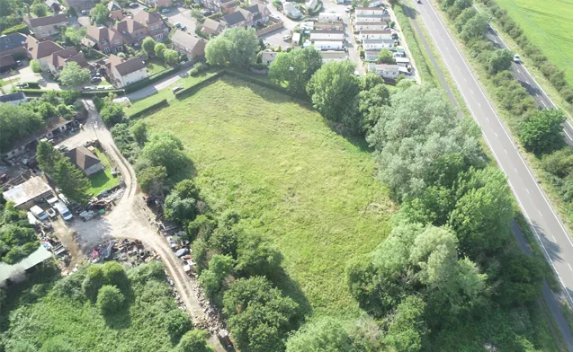 Professional tree surveys for landowners and developers