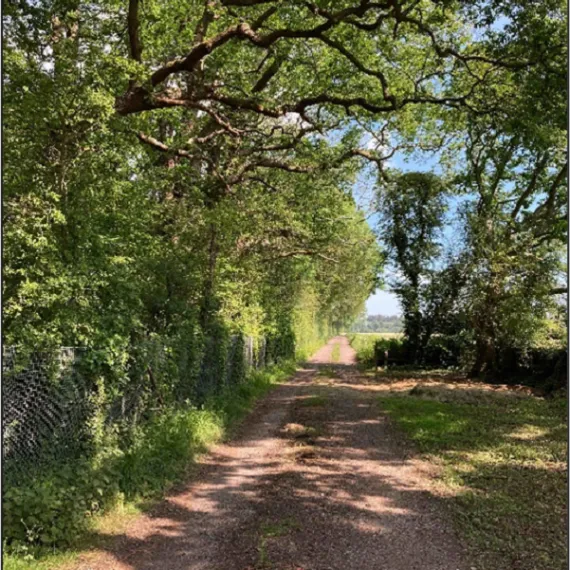 Trees, Structures and Development forResidential Development in Hampshire