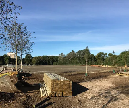 Trees and the build environment. Benefits of trees in planning developments
