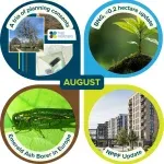 Not one, not two but three planning consents granted!

August was a busy month, seeing consent granted for 3 recent projects. Each with their own unique tree challenges. Take a look at our case studies for more background.

It was also a month where BNG guidelines were updated to include <0.2 hectare developments, provided they don't affect priority habitats. It's worth checking the latest GOV.Uk update to make sure any planned works fall into the correct exemption category. 

Alongside the continuing run of appeal decisions involving veteran trees, recent updates to the National Planning Policy Framework (NPPF) introduce several important shifts for arboriculture and planning. Take a look at our latest newsletter for full details.

Rather concerning, the emerald ash borer, one of the most destructive pests of ash trees was discovered in Slovakia and Hungary. A reminder to report early detection to manage emerging tree pests and diseases.

#monthlyrecap #august #arboriculture #industrynews #arborist #trees #ashtrees #pest #bng #planningconsent #oxford #cotswolds #treefrontiers