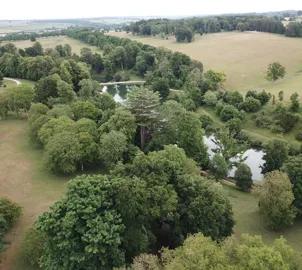 Woodland and tree consultancy advice