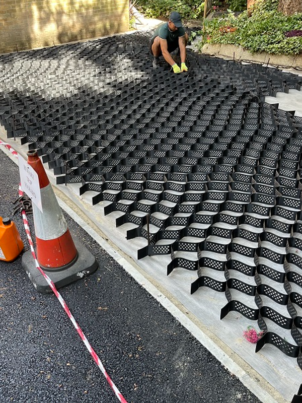 Arboricultural reports of redevelopment works near protected trees, Oxford